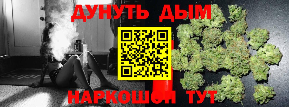 Бошки марихуана сатива Знаменск